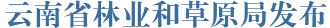 云南省应急管理厅发布