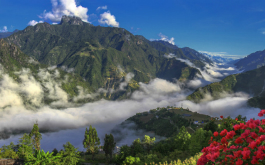 高黎贡山国家级自然保护区（怒江片区）